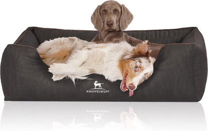Knuffelwuff Orthopädisches Hundebett Tampa aus Kunstleder schwarz XXL – Bild 1 von 4