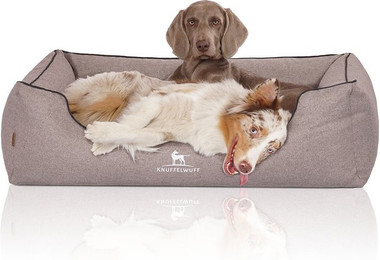 Produktbild von Knuffelwuff Orthopädisches Hundebett Wippo aus Velours XL 105 x 75 cm Grau