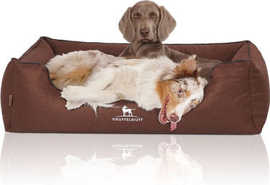 Produktbild von Knuffelwuff Orthopädisches Hundebett Wippo Velours Übergröße XXXL 155x105cm Braun