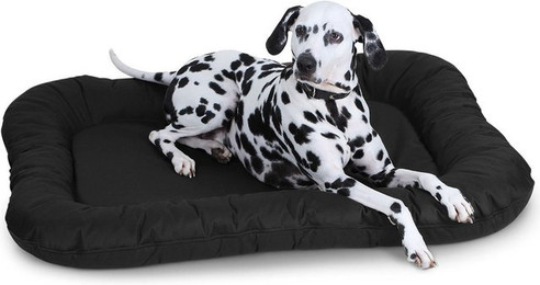 Produktbild von Knuffelwuff Wasserfestes In- und Outdoor Hundebett Lucky aus Nylongewebe XL - 1 Stk.
