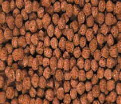 Produktbild von Koi-fit Rot 5 mm - 10 kg