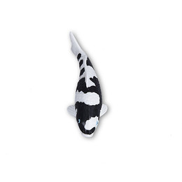 Produktbild von Koi Magnet Shiro-Utsuri