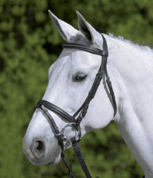 Kombinierte Nasenriemenreithalfter Star Diamond – Bild 1 von 5