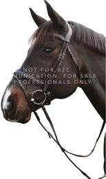 Produktbild von Kombinierte Zäumung für Pferde mit Ketten Dy'on