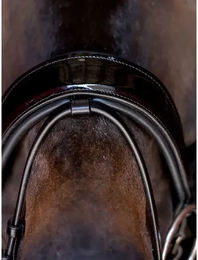 Produktbild von Kombinierter Reithalfterriemen für Pferde PS of Sweden
