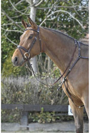Produktbild von Kombiniertes Martingal-Jagdhalsband für Pferde Stübben SideFit