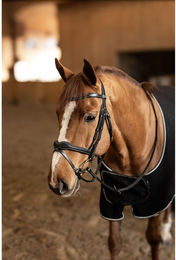 Produktbild von Kombiniertes Reithalfter für Pferde HFI Wavy