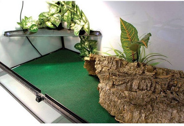 Produktbild von Komodo Reptilien Teppich
