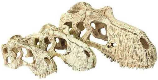 Produktbild von Komodo T-Rex Schädel Terrarium-Dekoration