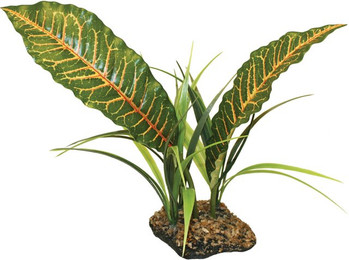 Produktbild von Komodo Tropical Canopy Terrarienpflanze