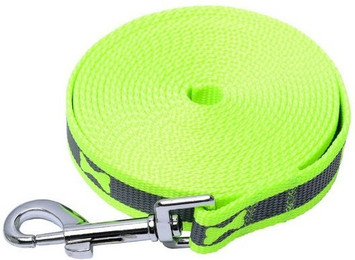 Produktbild von Kongs Hundeleine 2cm breit hellgrün - 2 m