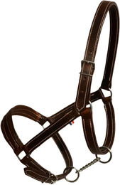 Produktbild von Kopfgeschirr aus chromiertem Leder für Zugpferde Ronzon Legend