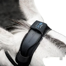 Produktbild von Kopfschutz für Pferde Horseware