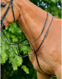 Produktbild von Kopfstück für Vollblutpferde Collegiate Comfitec Opulux