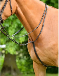 Produktbild von Kopfstück für Vollblutpferde Collegiate Comfitec Opulux