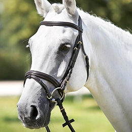 Produktbild von Kopfstütze frontal Form Tattini