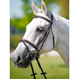 Produktbild von Kopfstütze frontal-licol kosten weiß Tattini