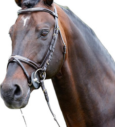 Produktbild von Kopfstütze frontal-licol lackiert + Strasssteine Tattini