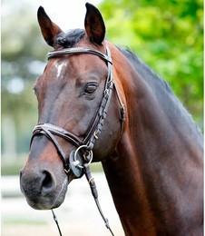 Produktbild von Kopfstütze frontal-licol lackiert + Strasssteine Tattini