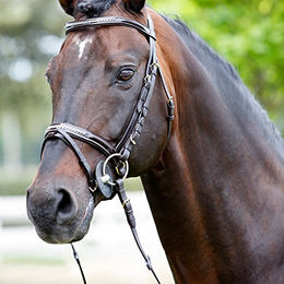 Produktbild von Kopfstütze frontal-licol lackiert + Strasssteine Tattini