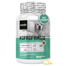 Produktbild von Koprophagie Hund Tabletten