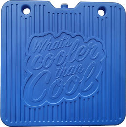 Kowloon Cool Pod Nagetiere – Blau – 22,5 x 22,5 cm – Bild 1 von 4