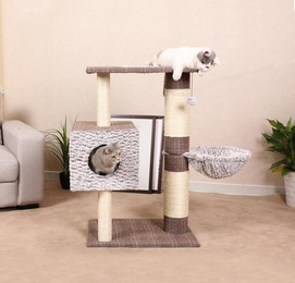 Produktbild von Kratzbaum Schottland II