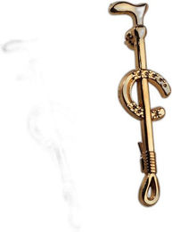 Krawattennadel für Pferd Equithème – Bild 1 von 3