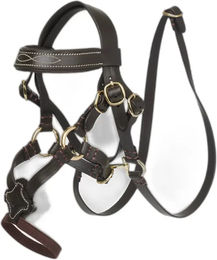 Kreuz-Verschnallung für Spielzeugpferde LeMieux Toy Pony – Bild 1 von 5