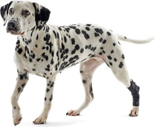 Kruuse Rehab Fersenschutz - XL – Bild 1 von 4