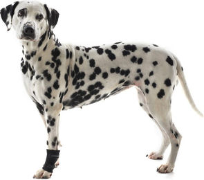 Kruuse Rehab Fesselschutz - S – Bild 1 von 2