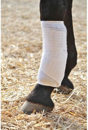 Kryotherapie-Kissen für Pferde Stübben – Bild 1 von 2