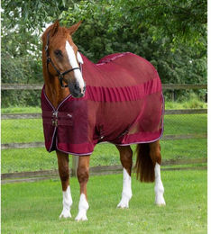 Produktbild von Kühlendes Pferdehemd Premier Equine Arisca Scrim