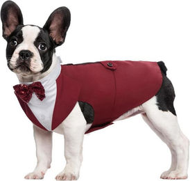 Produktbild von Kuoser Hund Smoking Anzug & Bandana Set