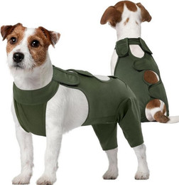 Produktbild von Kuoser Hunderehabilitationsanzug Schutzkragen nach Operation