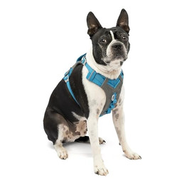 Produktbild von Kurgo Journey Air Hundegeschirr blau Größe S - 1 Stk.