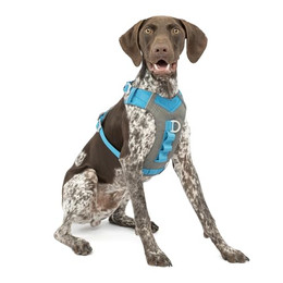 Produktbild von Kurgo Journey Air Hundegeschirr Größe M Blau/Grau