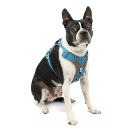 Produktbild von Kurgo Journey Air Hundegeschirr Größe XS Blau/Grau - 1 Stk.