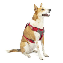 Produktbild von Kurgo Journey Air Hundegeschirr XL Rot/Grau