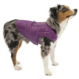Produktbild von Kurgo Loft Hundejacke wasserdicht und reflektierend Größe S Grau/Lila - 1 Stk.