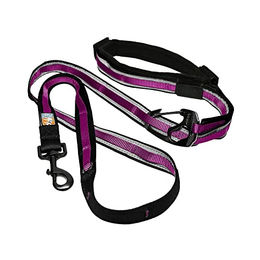 Kurgo Quantum 6-in-1 Hundeleine - 350 ml – Bild 1 von 8