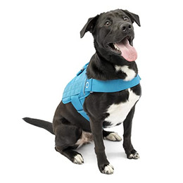 Produktbild von Kurgo RSG Townie Hundegeschirr Größe S Blau
