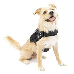 Kurgo RSG Townie Hundegeschirr schwarz S – Bild 1 von 8
