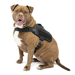 Produktbild von Kurgo RSG Townie Hundegeschirr schwarz XL