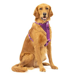 Produktbild von Kurgo TRU-Fit Hundegeschirr Größe L lila - 1 Stk.