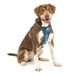Produktbild von Kurgo TRU-Fit Hundegeschirr Größe M Tinte Blau - 1 Stk.