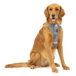 Produktbild von Kurgo TRU-Fit Hundegeschirr mit Auto-Sicherheitsgurt XL Grau