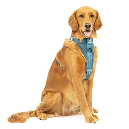 Produktbild von Kurgo TRU-Fit Hundegeschirr XL mit Auto-Sicherheitsgurt
