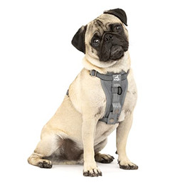 Produktbild von Kurgo TRU-Fit Hundegeschirr XS Grau
