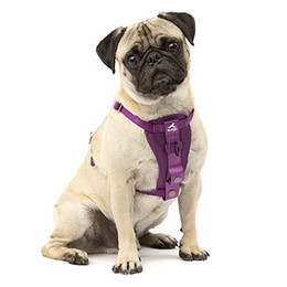 Produktbild von Kurgo TRU-Fit Hundegeschirr XS Lila